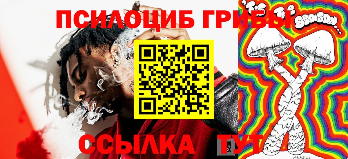 Галлюциногенные грибы Psilocybine cubensis Новошахтинск