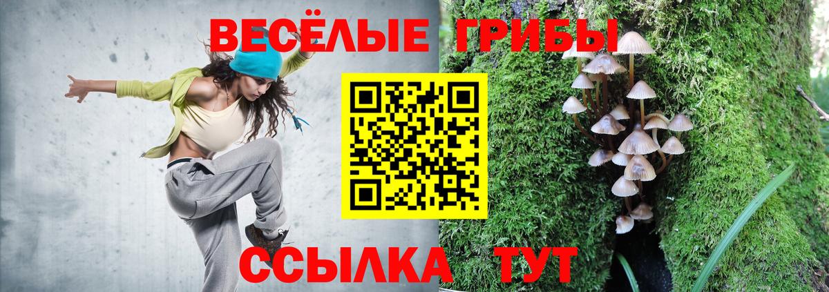 Галлюциногенные грибы мухоморы  Галлюциногенные грибы прущие грибы  Вход с VPN  Новошахтинск 